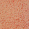 coral swatch